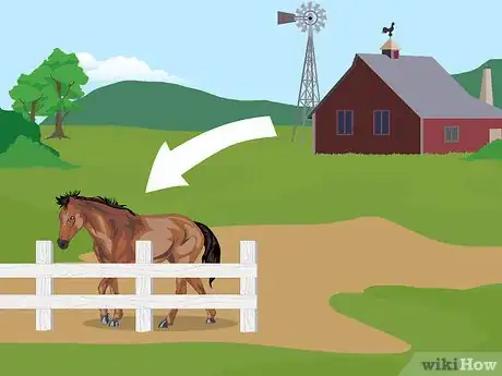 Image titled Prevent Heaves in Horses Step 11