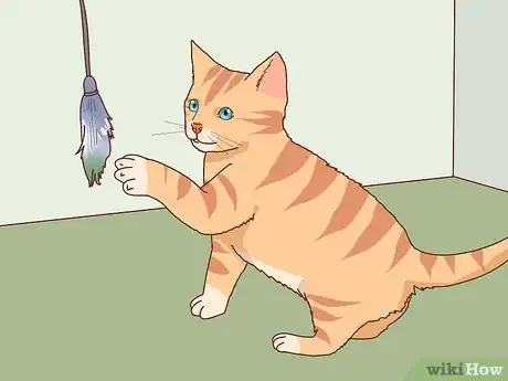 Image titled Choose the Right Kitten for Your Home Step 11