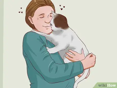 Image titled Get a Cat for a Pet Step 23