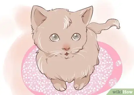 Image titled Draw Cute Cartoon Animals Step 5