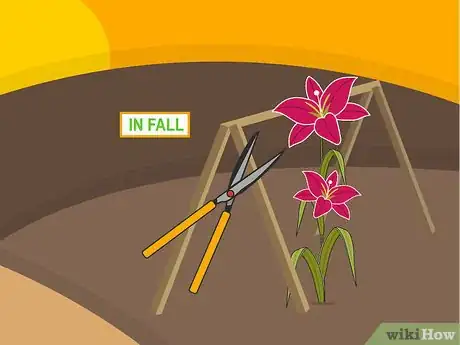 Image titled Grow Stargazer Lilies Step 15