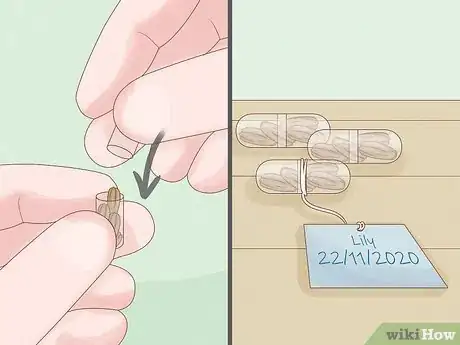 Image titled Store Pollen Step 3