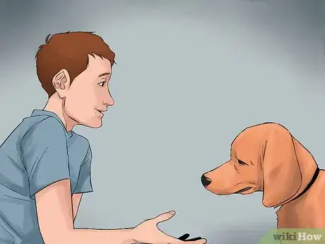 Image titled Become Close With Your Dog Step 1