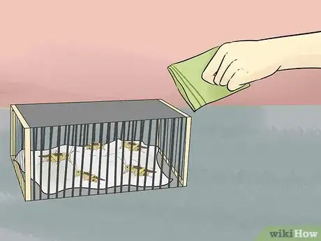 Image titled Feed an Anole Green Lizard Step 6