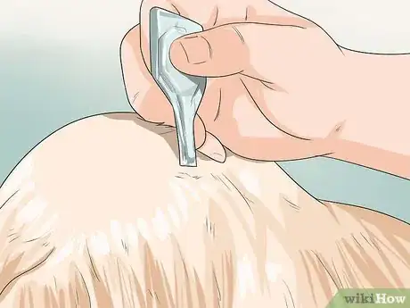 Image titled Get Your Golden Retriever to Shed Less Step 8