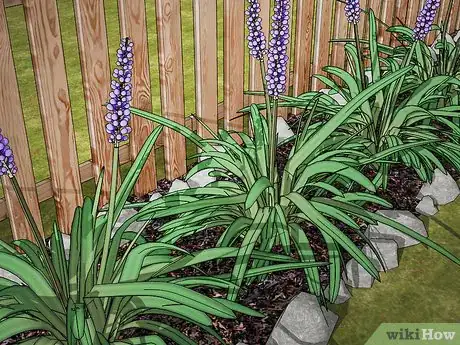 Image titled Control Lawn Weeds Step 10