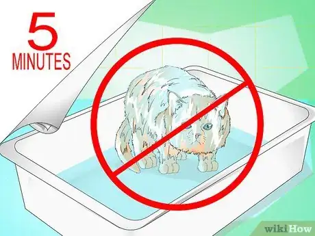Image titled Give a Kitten a Bath Step 13