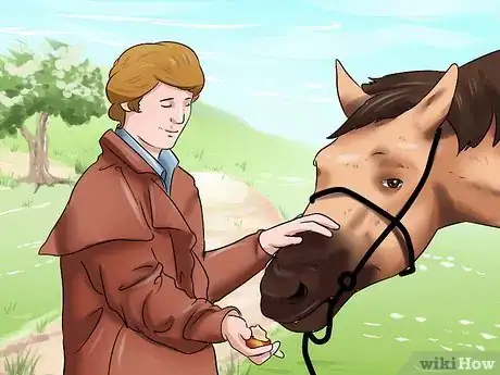 Image titled Get a Head Shy Horse To Trust You Step 10