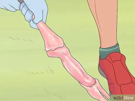 Image titled Clean a Squirrel Step 7