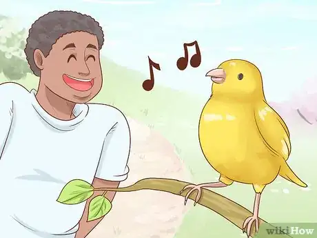 Image titled Know if a Canary Is Right for You Step 1