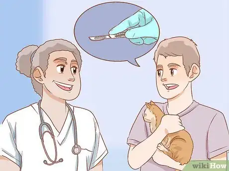 Image titled Treat Cleft Palate in Cats Step 2