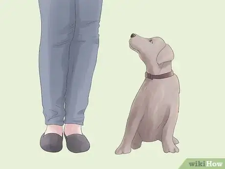 Image titled Raise a Balanced Puppy Step 4