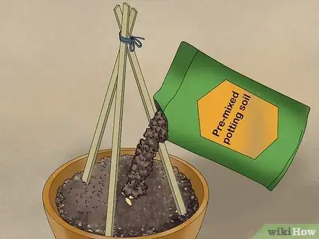 Image titled Grow Cucumbers in Pots Step 11