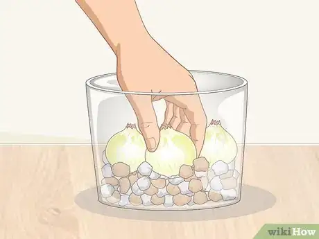 Image titled Force Bloom Flowers Step 6