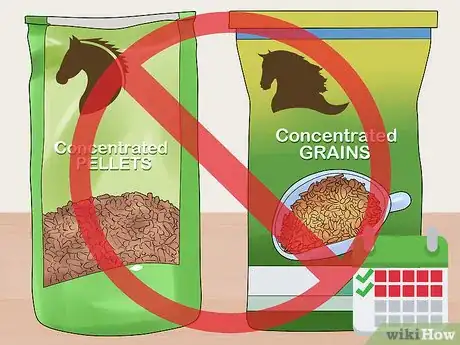 Image titled Feed a Starving Horse Step 4