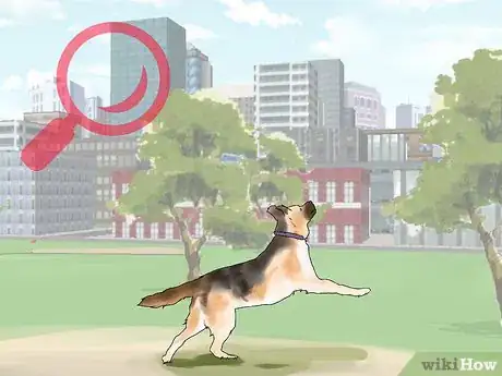 Image titled Protect Pets from Urban Dangers Step 8