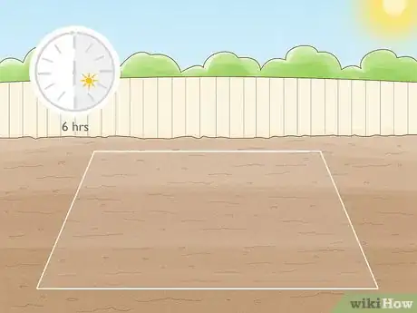 Image titled Transplant Hollyhocks Step 3