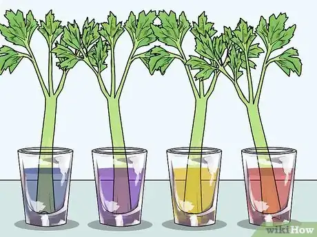 Image titled Change the Color of a Celery Stalk Step 5