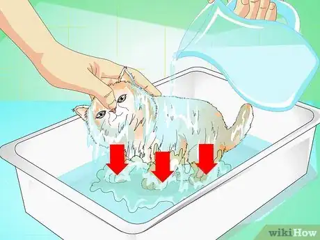 Image titled Give a Kitten a Bath Step 12