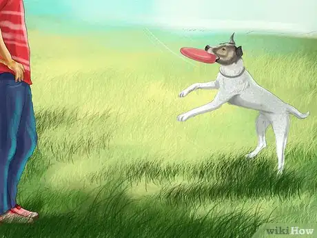 Image titled Relieve Your Dog's Boredom Step 6