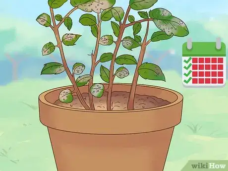 Image titled Maintain a Planter Step 11