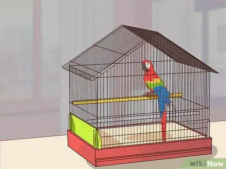 Image titled Treat Macaw Wasting Disease Step 12
