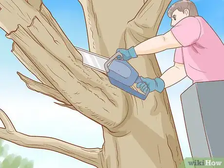 Image titled Storm Proof Your Home Step 12