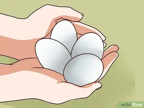 Image titled Pasteurize Eggs Step 1