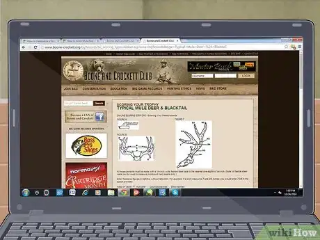 Image titled Score Mule Deer Antlers Step 4