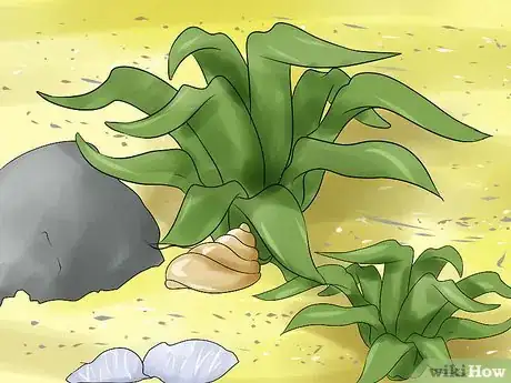 Image titled Care for Hermit Crabs Step 8