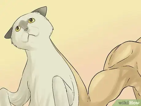 Image titled Diagnose Chronic Vomiting in Cats Step 7