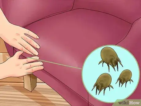 Image titled Spot Signs of Indoor Pollution Step 3