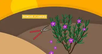 Prune Organic Plants