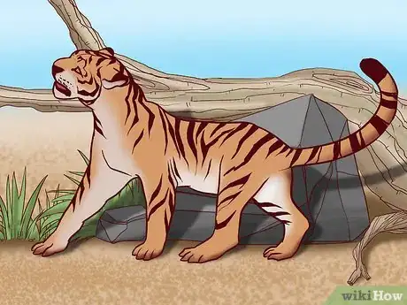 Image titled Identify Feline Species by Fur Step 1