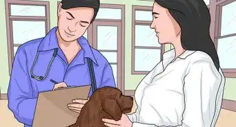 Choose a Dog‐Friendly Vacation Destination