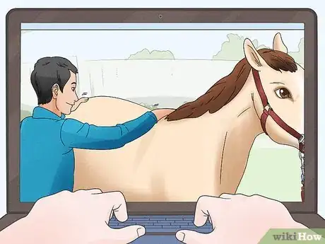 Image titled Become an Equine Physiotherapist Step 6