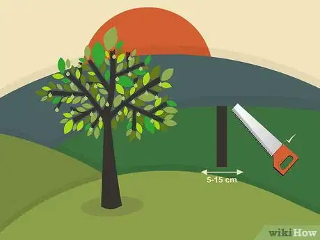 Image titled Prune Walnut Trees Step 11