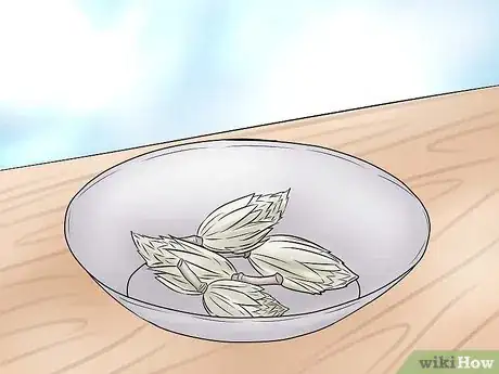 Image titled Plant a Tulip Poplar Tree Step 16