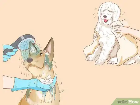 Image titled Raise Money for an Animal Shelter Step 6