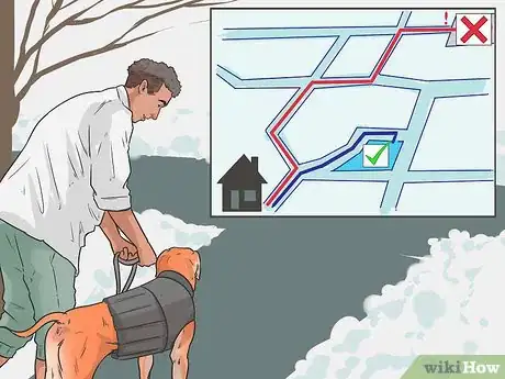 Image titled Help Your Dog Move in the Snow Step 11