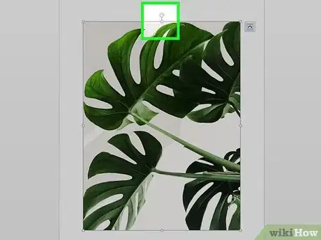 Image titled Add Images to a Microsoft Word Document Step 8