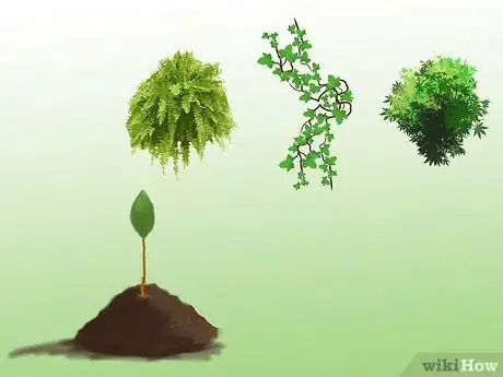 Image titled Grow a Bed Head Garden Step 11