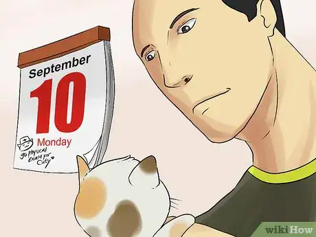 Image titled Diagnose Chronic Vomiting in Cats Step 4