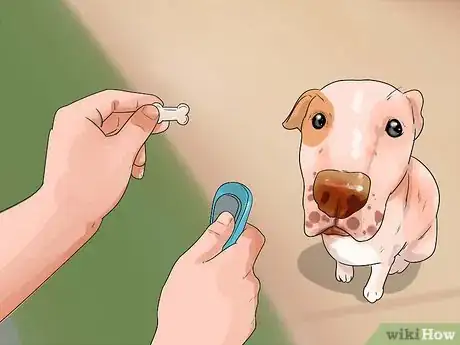 Image titled Work With Dominant Dogs Step 5