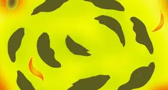 Make Campfire Starters