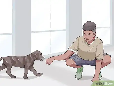 Image titled Choose a Dog for Older Kids Step 12