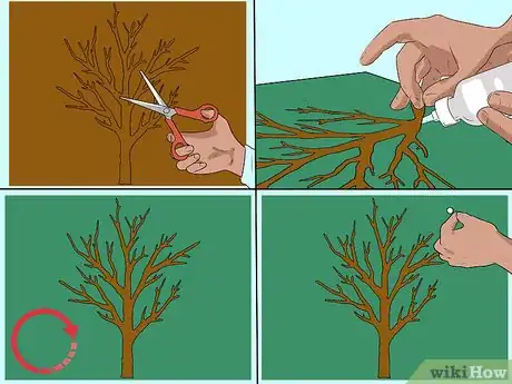 Image titled Make a Jesse Tree Step 5