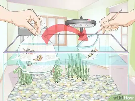 Image titled Take Care of Freshwater Fish Step 11