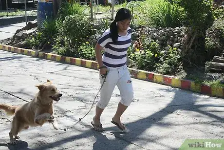 Image titled Prevent Hip Problems in Dogs Step 4