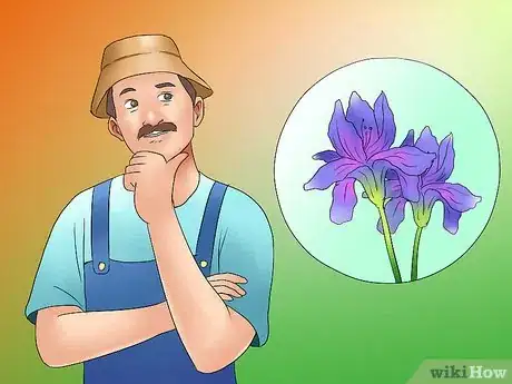 Image titled Deadhead an Iris Step 5